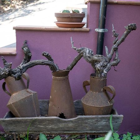 Agriturismo Etna-Mare Piedimonte Etneo Exterior foto