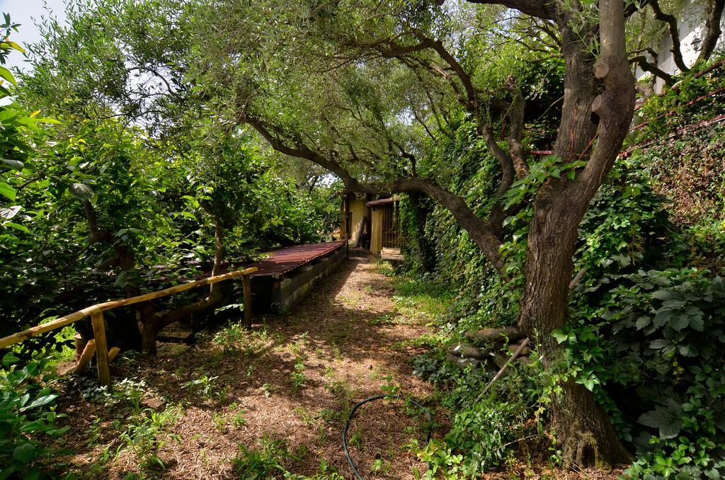 Agriturismo Etna-Mare Piedimonte Etneo Exterior foto